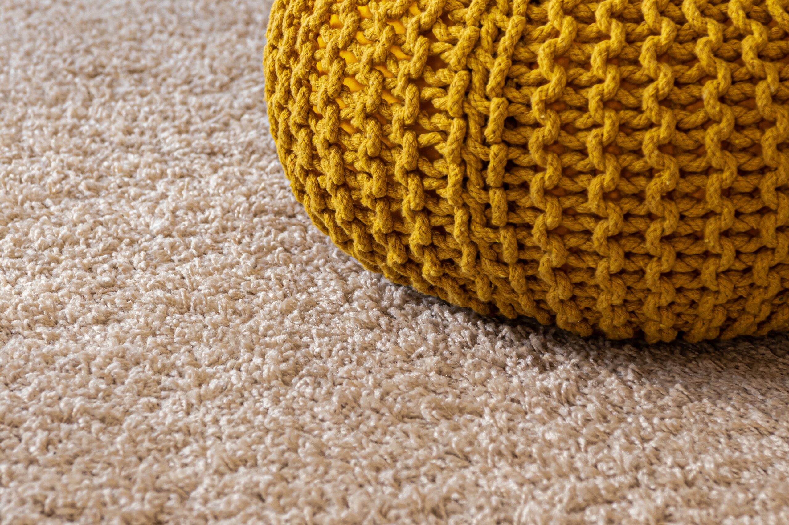 Carpet Cleaning Services in Tampa Bay, FL