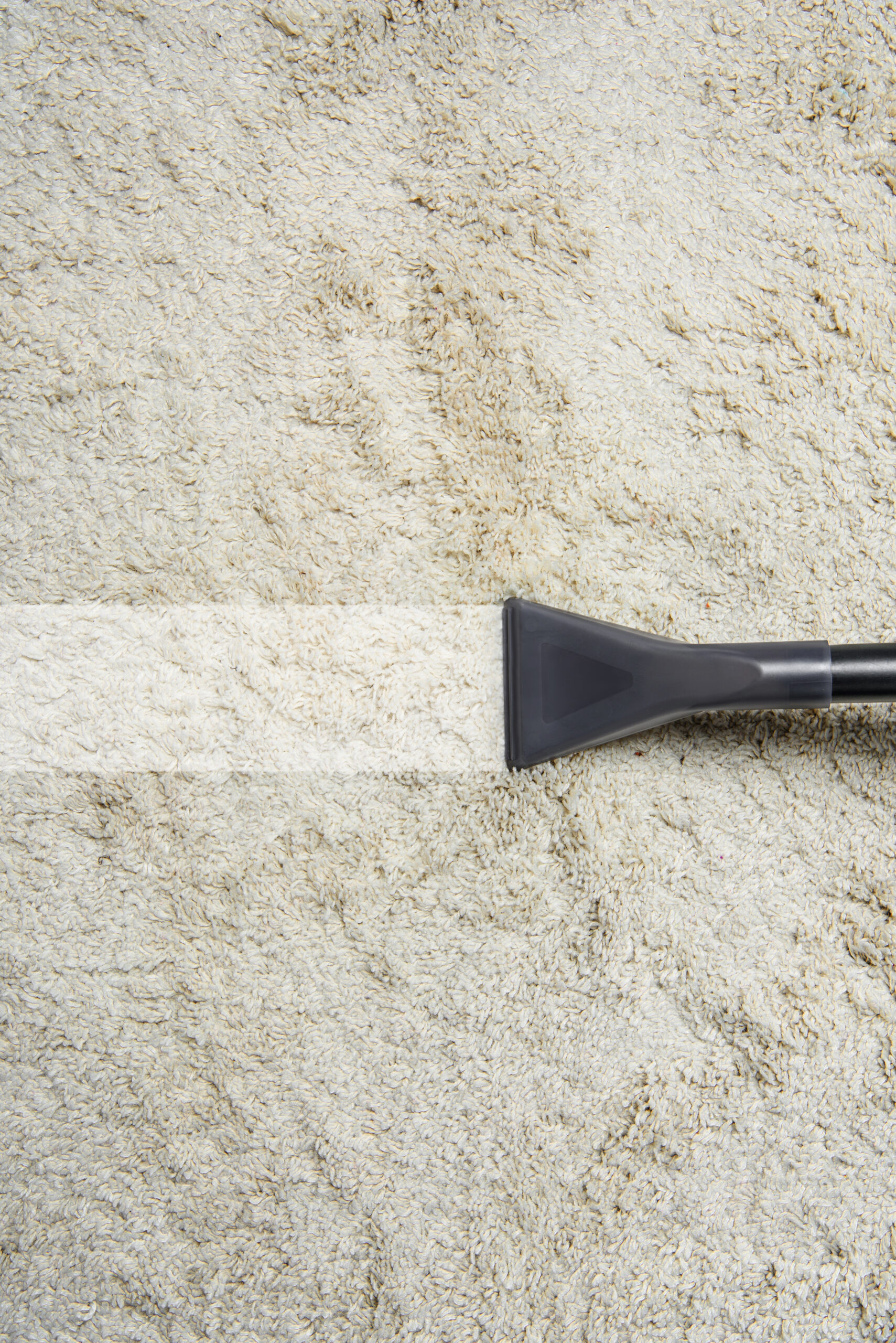 Maintenance Tips for Your New Carpet