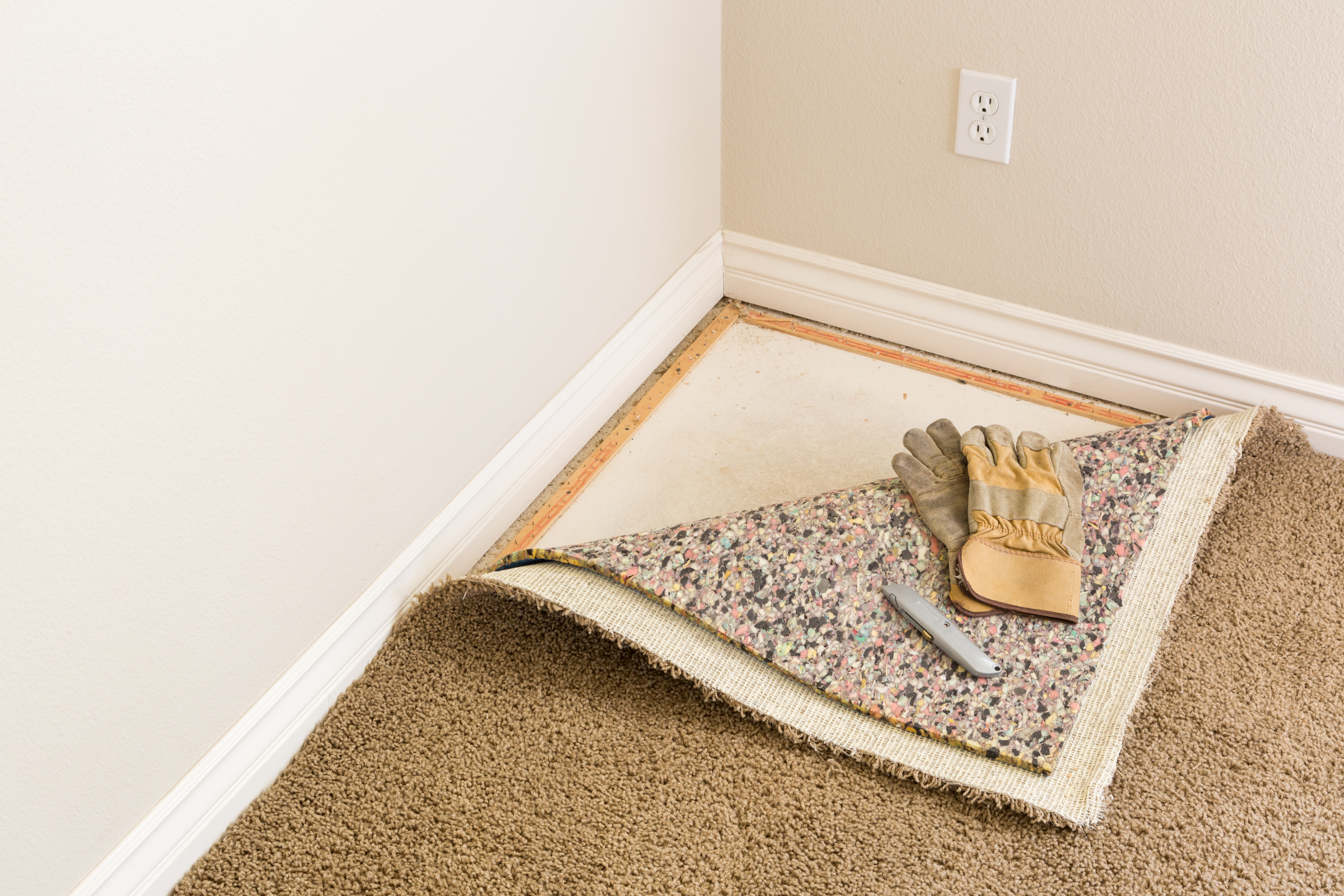 Carpet Installation Services in Tampa Bay, FL