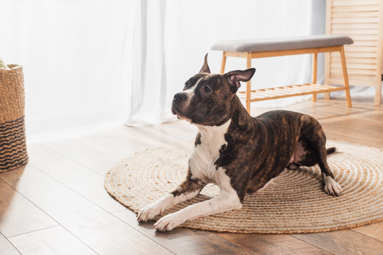 Best time of year to install hardwood floors